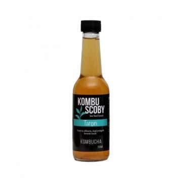 Kombucha Tarçın 250 mL