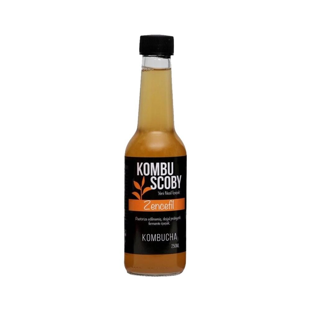 Kombucha Zencefil 250 mL
