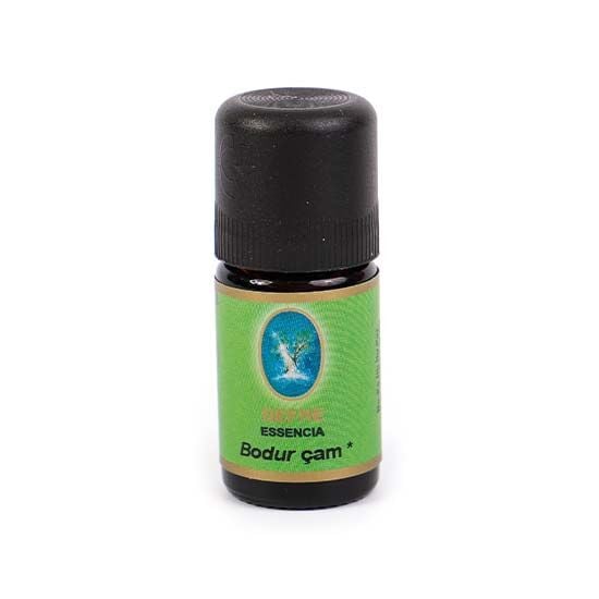 Bodur Çam Yağı - Organik 5 mL