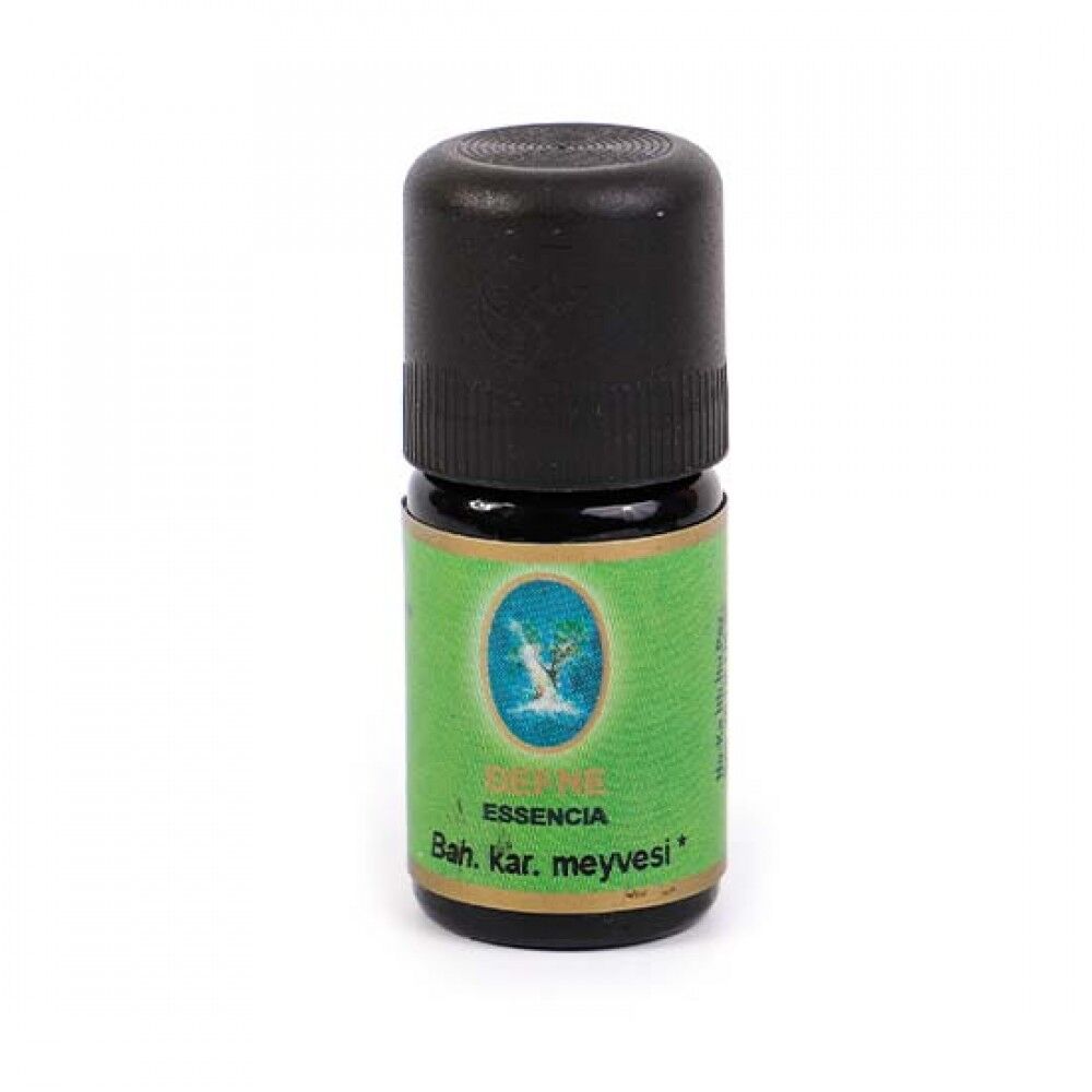 Baharat Karanfil Meyvesi Yağı- Organik 5 mL