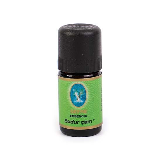 Bodur Çam Yağı - Organik 10 mL