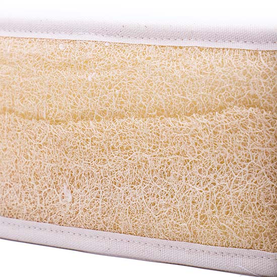 Kabak Lifi Oval Kesesi